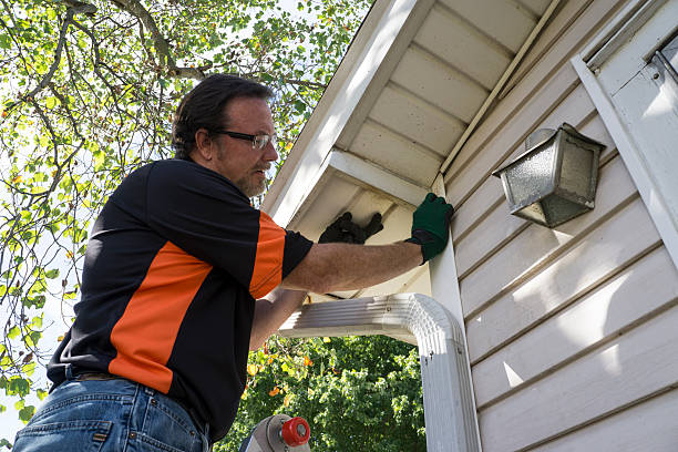 Best Dumpster Rental Services  in East Islip, NY
